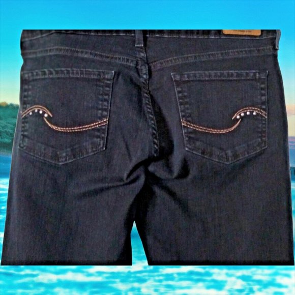 Signature Jeans Womans 10 Large Low Rise Ankle Skinny Pants Dark Wash - Picture 1 of 13